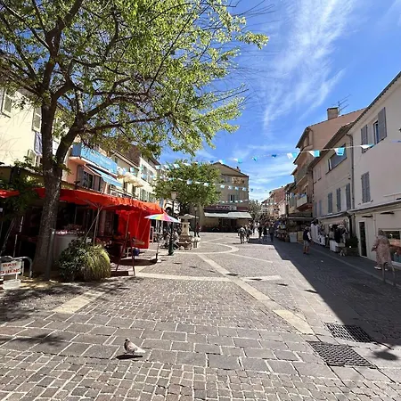 : 3 Pièces, 4 Couchages, Piscine, Calme, Proche Commerces Et Aqualand - Fr-1-226-476 * Sainte-Maxime