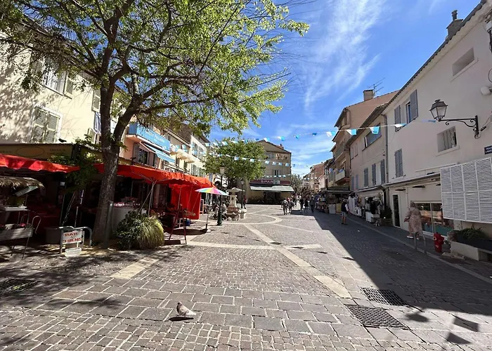 : 3 Pièces, 4 Couchages, Piscine, Calme, Proche Commerces Et Aqualand - Fr-1-226-476 * Sainte-Maxime